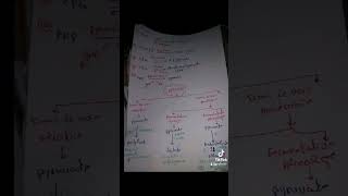 la glycolyse Résumé de la première partie de biochimie métabolique [upl. by Sudhir]