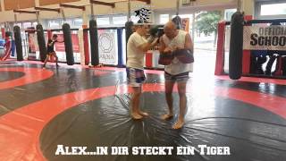 Muay Thai  Kickboxing  K 1  Alexin dir steckt ein Tiger Full HD [upl. by Allyn]