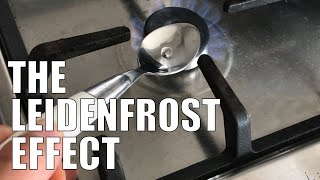 The Leidenfrost effect [upl. by Bonnell]