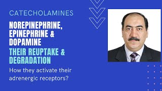 Sympathomimetics II Catecholamine reuptake degradation amp interaction with adrenergic receptors [upl. by Nav703]