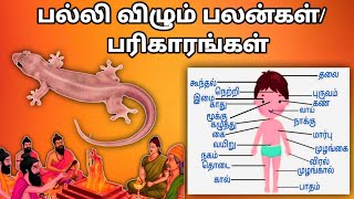 பல்லி விழும் பலன்கள்பரிகாரங்கள் Palli Vizhum Palangal Parigarangal [upl. by Alana]