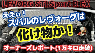 【1万キロ走破】LEVORG STI Sport R EXVNHオーナーズ レポート [upl. by Theall593]