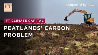 Carbon problem for damaged peatlands  FT Climate Capital [upl. by Rosenwald]