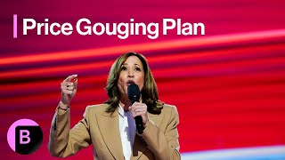 What Would the Kamala Harris Price Gouging Plan Do [upl. by Kerwinn217]