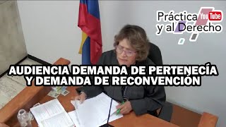 AUDIENCIA DEMANDA DE PERTENECÍA Y DEMANDA DE RECONVENCIÓN  AUDIENCIA INICIAL CO [upl. by Galvin]