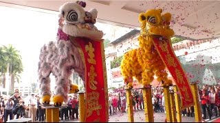 InterContinental Hong Kong 2017 Chinese New Year Celebrate Lion Dance [upl. by Ardyth585]