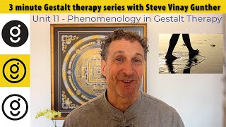 Phenomenology awareness and Gestalt • 3 minute Gestalt series 11 [upl. by Eleda]