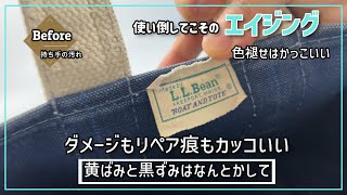 LLビーンのトートバッグ 全体のクリーニングと持ち手の汚れの染み抜き [upl. by Zumstein760]