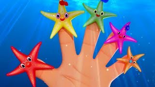 Starfish Finger Family  Nursery Rhymes  Songs For Children  Baby Rhyme  Kids Song [upl. by Onaicul]