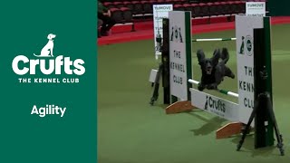 Agility Championship SmallMedium Part 1  ​Crufts 2022 [upl. by Andromache323]