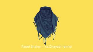 Fadel Shaker  Ya Ghayeb lofi mix [upl. by Laks]