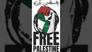 Palestina Menangis TikTok Music 30 MIN LOOP [upl. by Basilius]