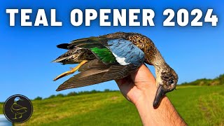 Teal Season Opening Day Hurricane Francine [upl. by Amzaj]