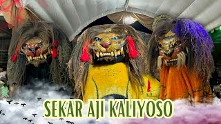 BARONGAN KENDAL SEKAR AJI KALIYOSO LIVE KLEPU RINGINARUM [upl. by Delija]