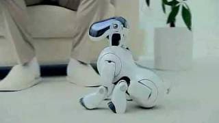 AIBO 3G [upl. by Annaet542]