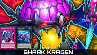 SHARK KRAGEN CONTROL DECK MASTER DUEL ▪ Festival Atributos 4 [upl. by Strepphon30]