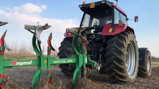 CaseIH Maxxum 5150 Plus  quadrivomere Regent XC 335 [upl. by Miner]