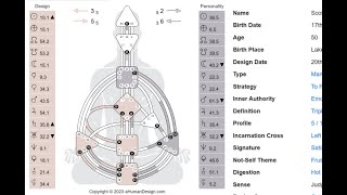 Understanding the Human Design Chart [upl. by Crabb]