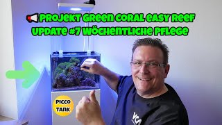 📢Projekt Green Coral easy Reef 👉QuickampDirty Meerwasser Aquarium Bauen👈7 [upl. by Aicetel]