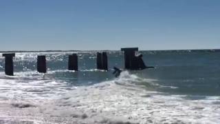 Little Gasparilla Island Gulf Skim [upl. by Lebana323]