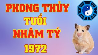 Phong Thủy Tuổi Nhâm Tý 1972 [upl. by Oznerol273]