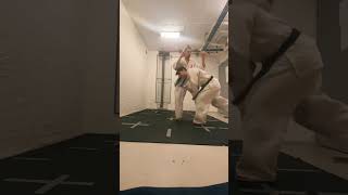 Aggressive Kata Application 😈 shorts karate martialarts fighting shidokan training [upl. by Euqinu]