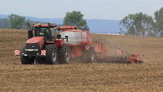 Case IH Steiger 450 HD with Horsch Pronto 8SW at Klostergut Winningen in Germany  Take I [upl. by Arit]