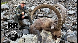 Hunting Adventure Kazakhstan  MidAsian Ibex  Steinbock  RR Weltweites Jagen [upl. by Asiralc318]