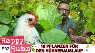 E92 Den Hühnerauslauf bepflanzen 10 Pflanzentipps HAPPY HUHN Hühnergehege grün halten Robert Höck [upl. by Enrica]