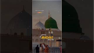 Dil Fida Hai Madine Wale Par 💚🥰💯 shorts razviclipsandmore [upl. by Lednyk740]