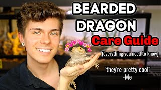 Bearded Dragon Care Guide EVERYTHING you need to know [upl. by Naomi]