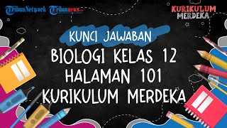 Kunci Jawaban Biologi Kelas 12 Halaman 101 Kurikulum Merdeka Sifat Resesif dan Dominan [upl. by Atalanta]