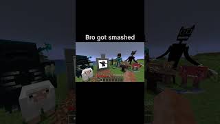 Minecraft Meme [upl. by Toffic]