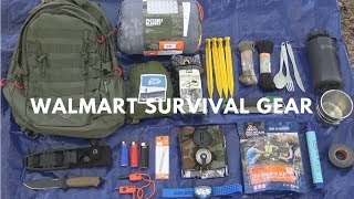 Overnight 250 Walmart Survival Challenge [upl. by Ipoillak]