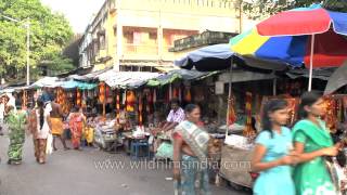 Market outside Kalighat temple  Kolkata [upl. by Ahseila]