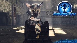 The Last Guardian  BroadBacked Trophy Guide [upl. by Edie]