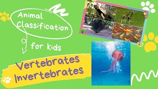 VERTEBRATES AND INVERTEBRATES for kids  Animal Classification for children [upl. by Ax53]