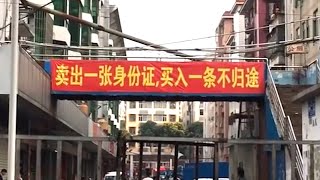 深圳底层人如何生活？日入100吃4元一碗面，8块网吧通宵！ [upl. by Orabla]