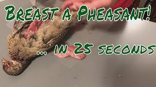 How to Breast a Pheasant in 25 seconds [upl. by Watanabe]