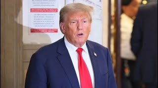 Trump goes FULL DESPERATION in panicked move in DC court [upl. by Rillings737]