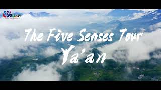 The Five Senses Tour  Yaan Sichuan China [upl. by Alage]