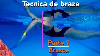 Tecnica de natacion de estilo pecho braza Parte 1 Brazos [upl. by Neirrad]