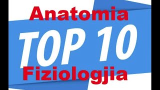 Anatomia amp Fiziologjia 10TOP Pyetjet ne  QUIZ [upl. by Ardeha]