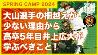 『阪神春季キャンプ2024』大山選手の柵越えが少ない理由から井上広大選手が学ぶべきこと [upl. by Maxia]