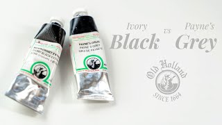 Ivory Black vs Paynes Grey [upl. by Nawor]