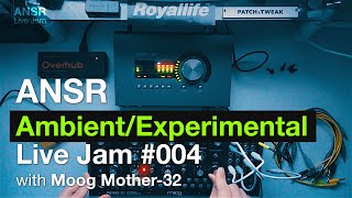 ANSR  AmbientExperimental Live Jam 004 with Moog Mother32 [upl. by Nyltyak]