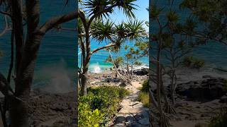 Noosa National Park 🩵 viajar vivirenaustralia australiancity trabajarenaustralia travel [upl. by Fidelia]