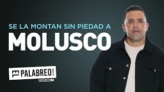 A MOLUSCO le hacen el BU LLY1 NG mas GRANDE de la historia ElPalabreo [upl. by Pascasia]