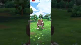 Tyrunt not trying to be caught Was this a Glitch Tyrunt pokémongo CatchingGlitch [upl. by Villiers783]