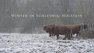 Winter in SchleswigHolstein  Eine Hommage March 2018 [upl. by Niliram]